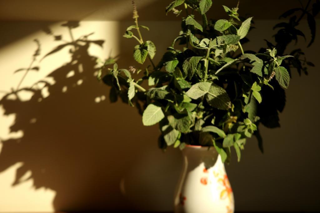 Appartamento Kerpji Ulmale Esterno foto